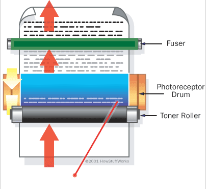 printer fuser how a printer works